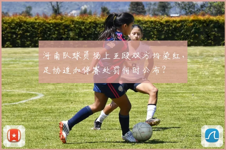 河南队球员场上互殴双方均染红，足协追加停赛处罚何时公布？